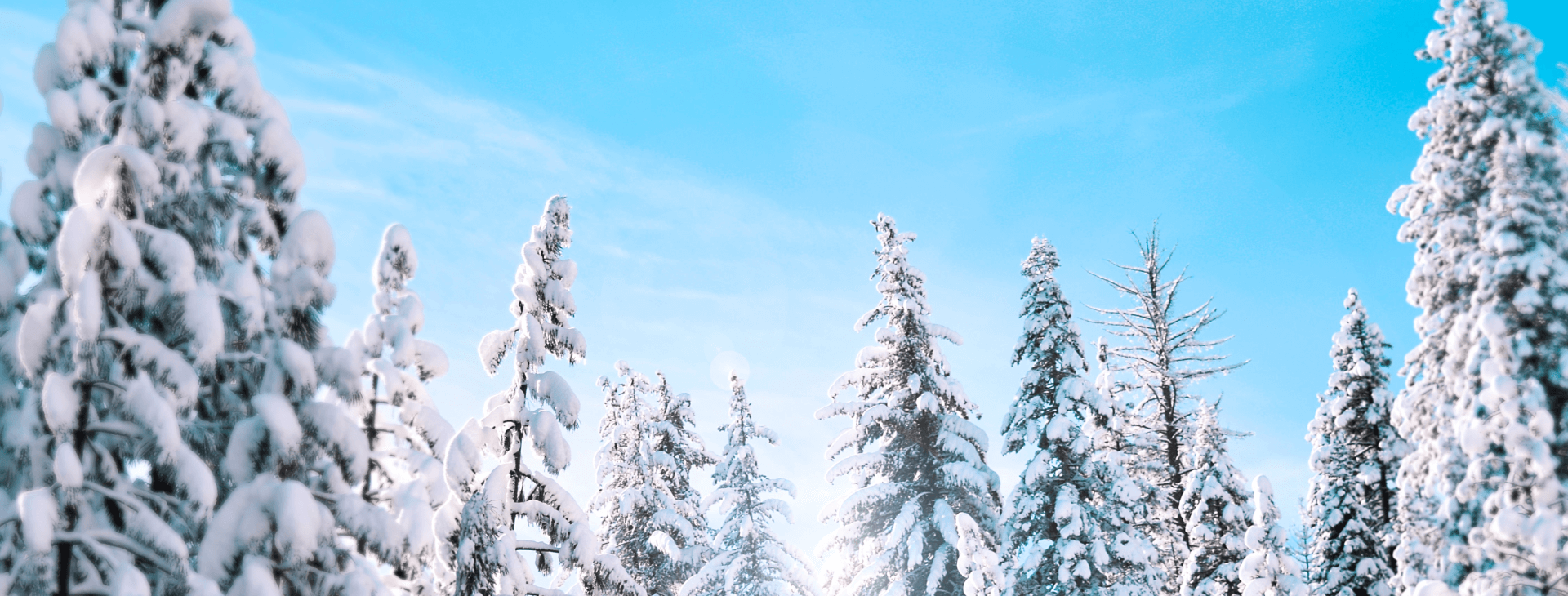 e3df923a-stanley-dai-qlfjlyeamv4-unsplash-1.png